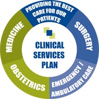 clinical services plan